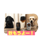 宮古島ラブラドールズ『ヌーイ＆クーネ』（個別スタンプ：2）