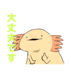 シュールなウーパールーパーさんズ（個別スタンプ：4）