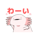 シュールなウーパールーパーさんズ（個別スタンプ：5）