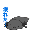 シュールなウーパールーパーさんズ（個別スタンプ：11）