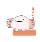 シュールなウーパールーパーさんズ（個別スタンプ：17）