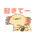 シュールなウーパールーパーさんズ（個別スタンプ：24）