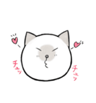 シャム猫のゆるっとスタンプ（個別スタンプ：5）