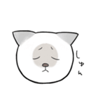 シャム猫のゆるっとスタンプ（個別スタンプ：8）