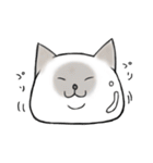 シャム猫のゆるっとスタンプ（個別スタンプ：9）