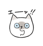 シャム猫のゆるっとスタンプ（個別スタンプ：12）