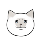 シャム猫のゆるっとスタンプ（個別スタンプ：14）