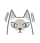 シャム猫のゆるっとスタンプ（個別スタンプ：15）