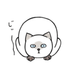 シャム猫のゆるっとスタンプ（個別スタンプ：21）