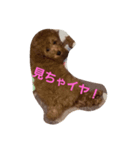 ちゃっぴー君（個別スタンプ：4）