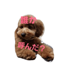 ちゃっぴー君（個別スタンプ：8）