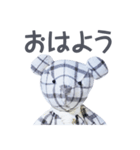 stuffed bear (checkered)（個別スタンプ：1）