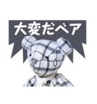 stuffed bear (checkered)（個別スタンプ：2）