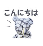 stuffed bear (checkered)（個別スタンプ：3）