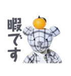 stuffed bear (checkered)（個別スタンプ：8）