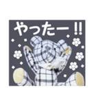 stuffed bear (checkered)（個別スタンプ：10）