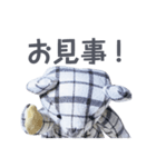 stuffed bear (checkered)（個別スタンプ：16）