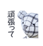 stuffed bear (checkered)（個別スタンプ：22）