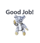 stuffed bear (checkered)（個別スタンプ：24）