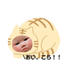 碧蘭たんスタンプ♥（個別スタンプ：6）