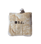 わが家のフェレット（個別スタンプ：8）