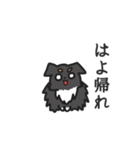ドワーフチワワの日常（個別スタンプ：23）