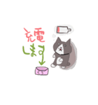 のんびりくうちゃんのスタンプ（個別スタンプ：13）