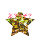 トンボ集1 生活スタンプ（個別スタンプ：4）