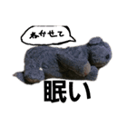 拗ねる、さだはる。（個別スタンプ：3）