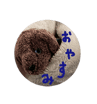 拗ねる、さだはる。（個別スタンプ：8）