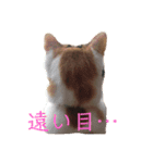 シャトーブリアン その1（個別スタンプ：4）