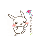 敬語のうさぎスタンプ（個別スタンプ：37）