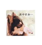 ちわわんこオレオ（個別スタンプ：3）