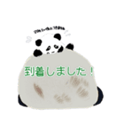 もふもふ赤ちゃんパンダちゃんファミリー（個別スタンプ：2）