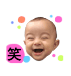 コーガの日常 ②（個別スタンプ：5）