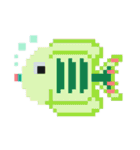 夏！ドットでお絵かき♪お魚ペッタン(挨拶)（個別スタンプ：40）