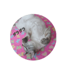 あぼの気持ちスタンプ1（個別スタンプ：4）