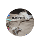 あぼの気持ちスタンプ1（個別スタンプ：6）
