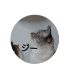 あぼの気持ちスタンプ1（個別スタンプ：7）