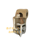 メロバロとくるみ（個別スタンプ：4）