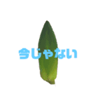 蕾の気持ち（個別スタンプ：4）