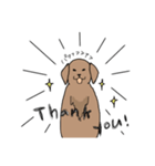 表情豊かな茶色い犬（個別スタンプ：3）