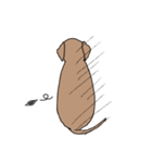 表情豊かな茶色い犬（個別スタンプ：5）