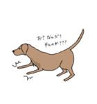表情豊かな茶色い犬（個別スタンプ：6）