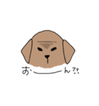 表情豊かな茶色い犬（個別スタンプ：11）