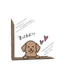 表情豊かな茶色い犬（個別スタンプ：13）