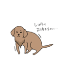 表情豊かな茶色い犬（個別スタンプ：15）