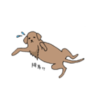 表情豊かな茶色い犬（個別スタンプ：19）