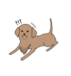表情豊かな茶色い犬（個別スタンプ：20）