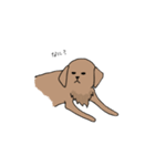 表情豊かな茶色い犬（個別スタンプ：24）